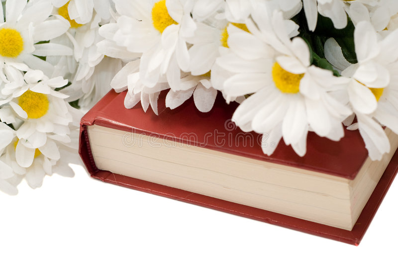 Why romance matters-pic of a love story with flowers draped over the book